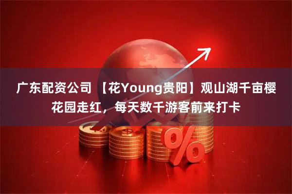 广东配资公司 【花Young贵阳】观山湖千亩樱花园走红，每天数千游客前来打卡